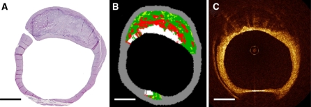 Fig. 2