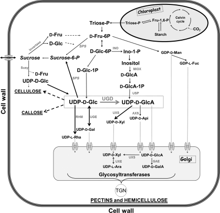 FIGURE 1.