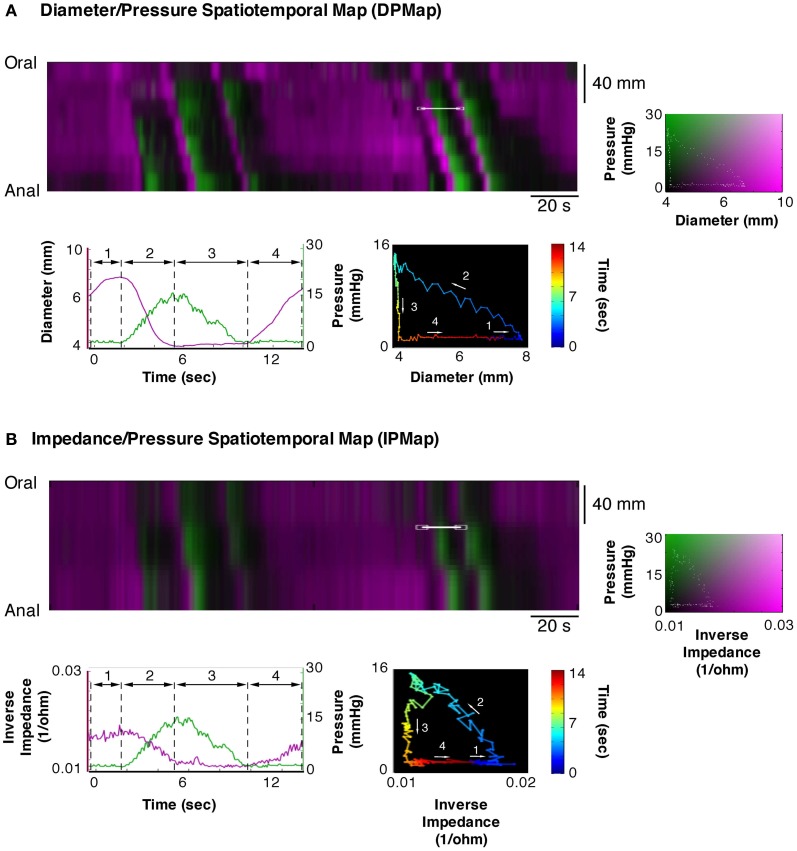 Figure 12