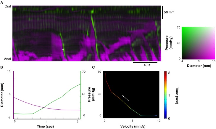 Figure 7