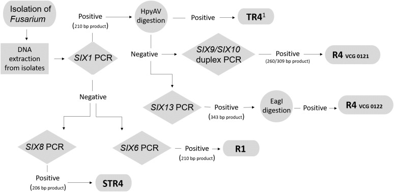 FIGURE 3