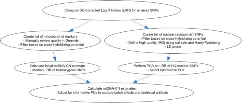 Figure 1—figure supplement 2.