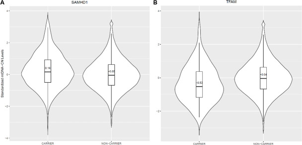 Figure 4—figure supplement 1.