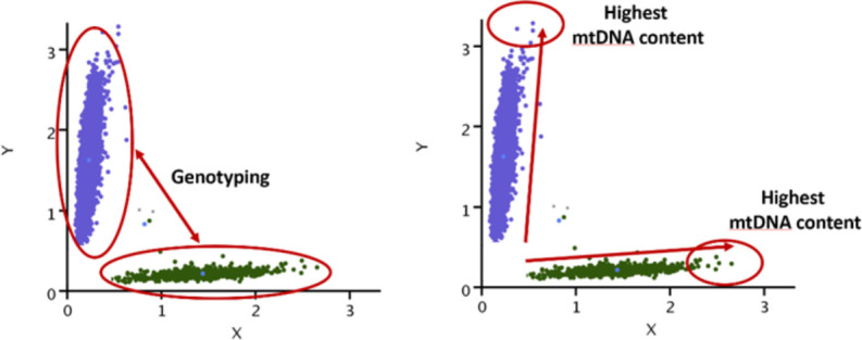 Figure 1—figure supplement 1.