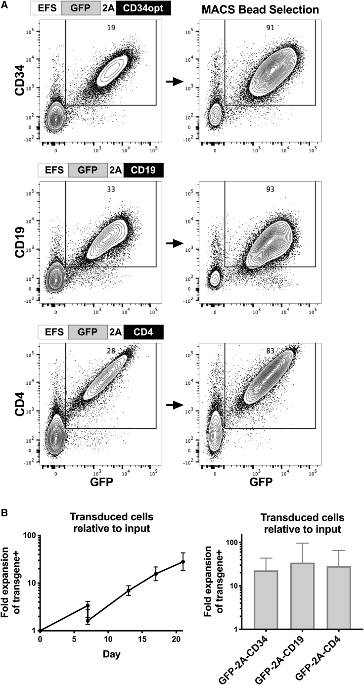 Figure 6