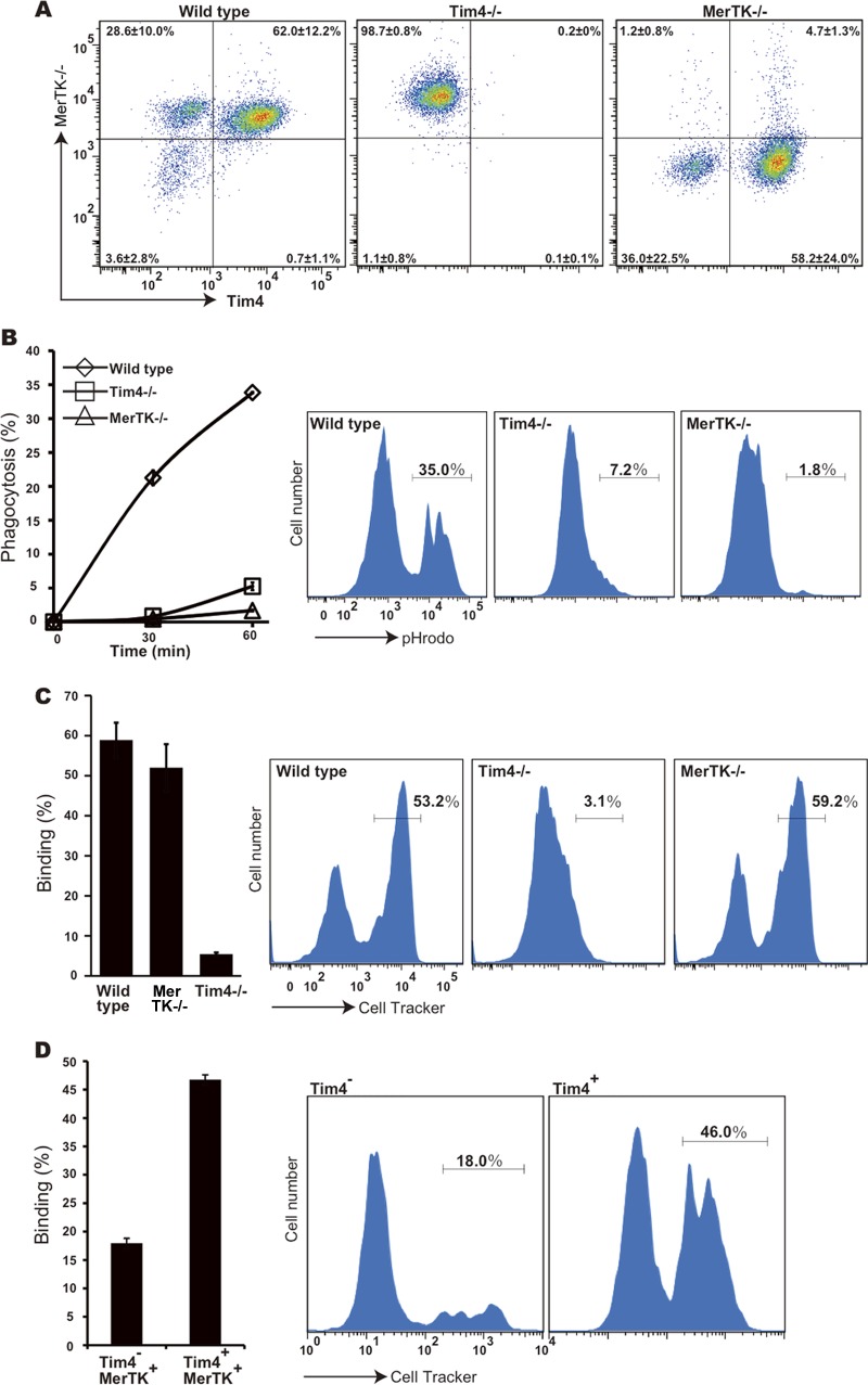 FIG 2