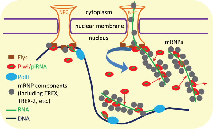 Figure 7.