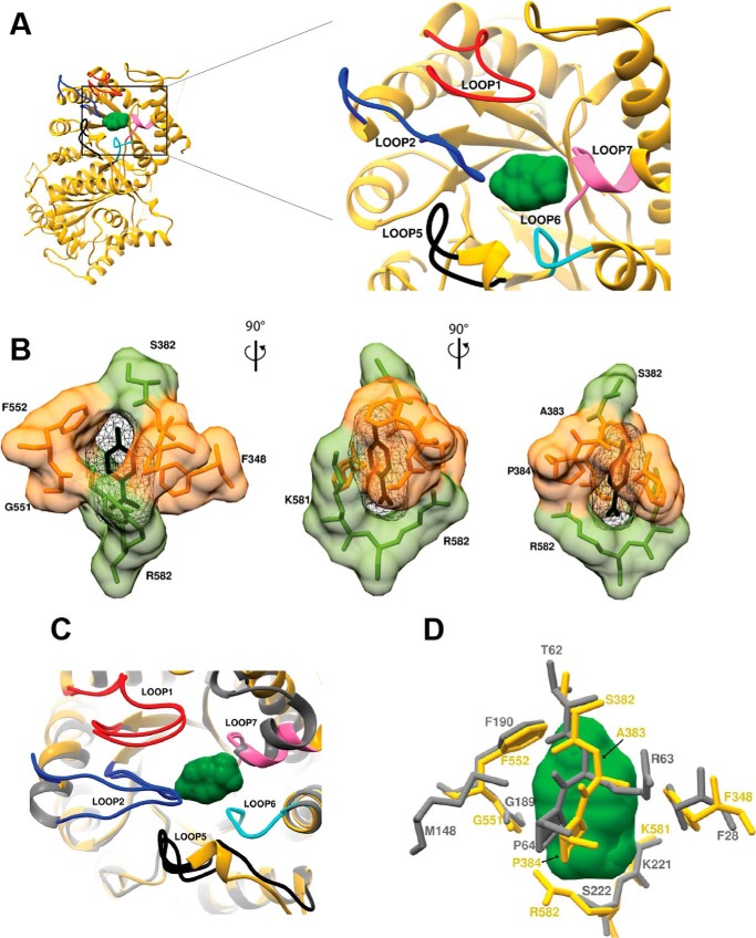 Figure 5.