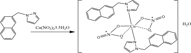 Scheme 4