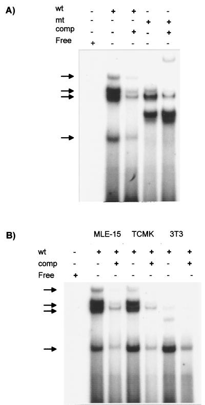 FIG. 8