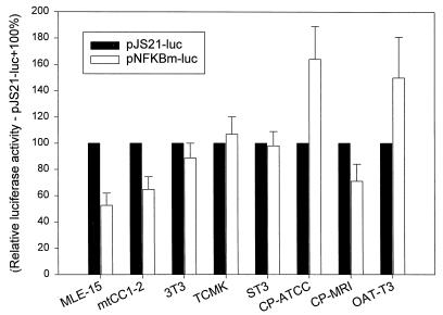 FIG. 7