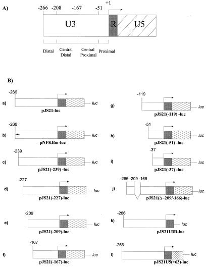 FIG. 1