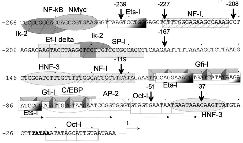 FIG. 5