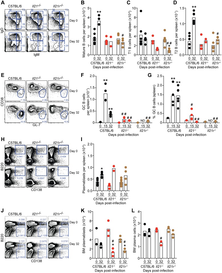 Fig 6