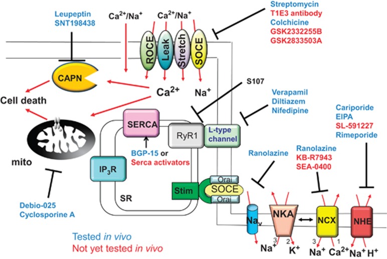 Figure 2