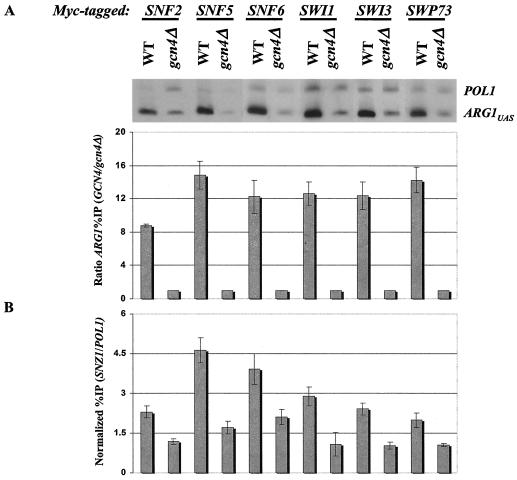 FIG. 2.