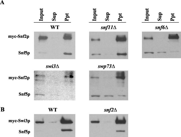 FIG. 7.