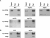 FIG. 7.