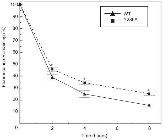 Fig. 8