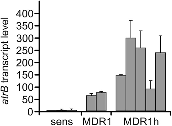 Fig 3