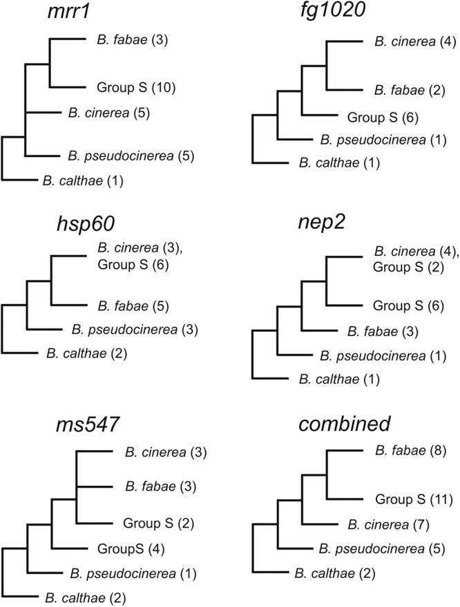 Fig 6