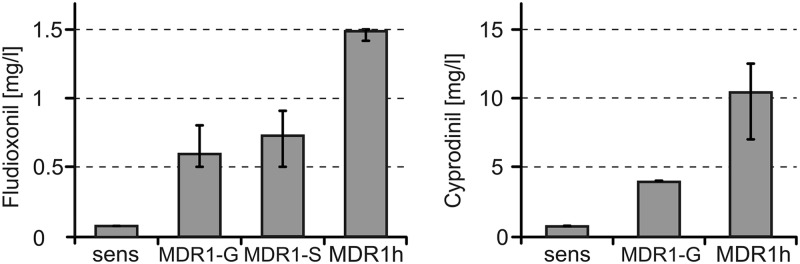 Fig 2