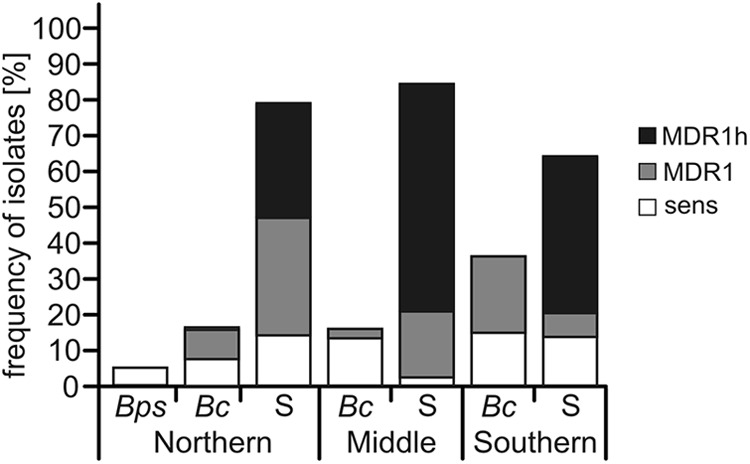 Fig 7