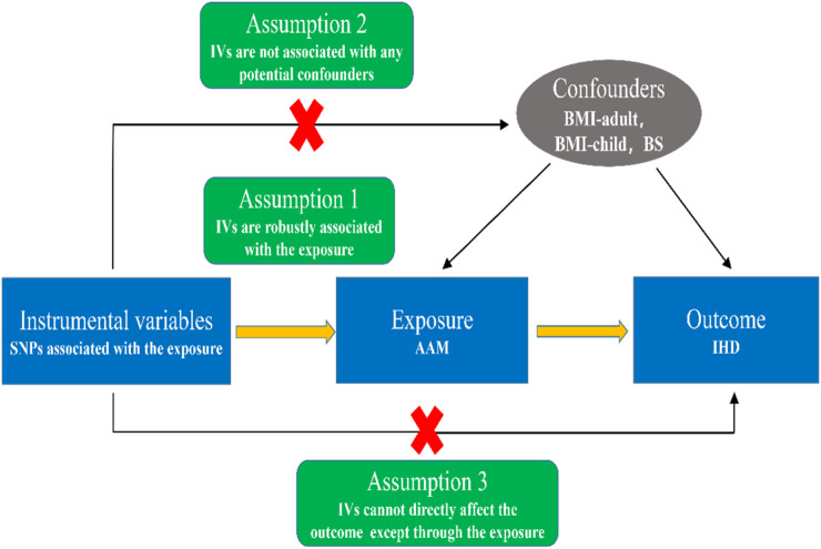 FIGURE 1