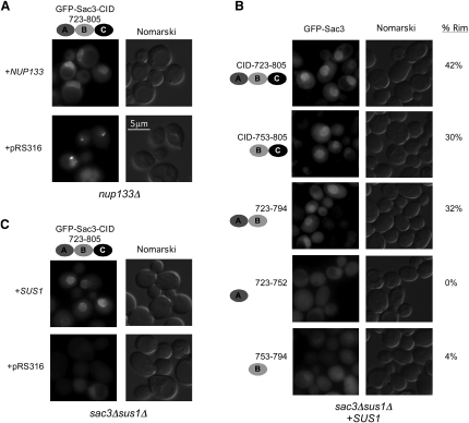 Figure 6