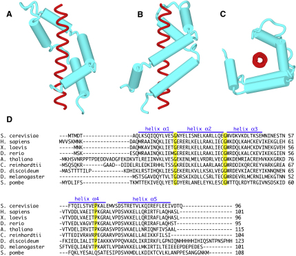 Figure 3