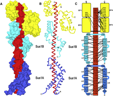 Figure 2