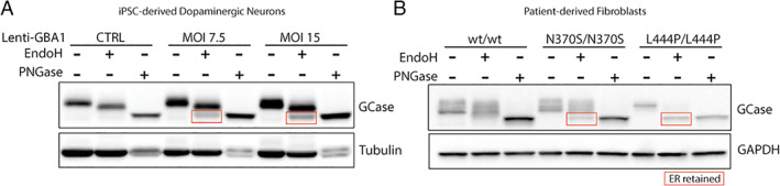 FIG 1