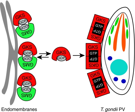 Figure 10