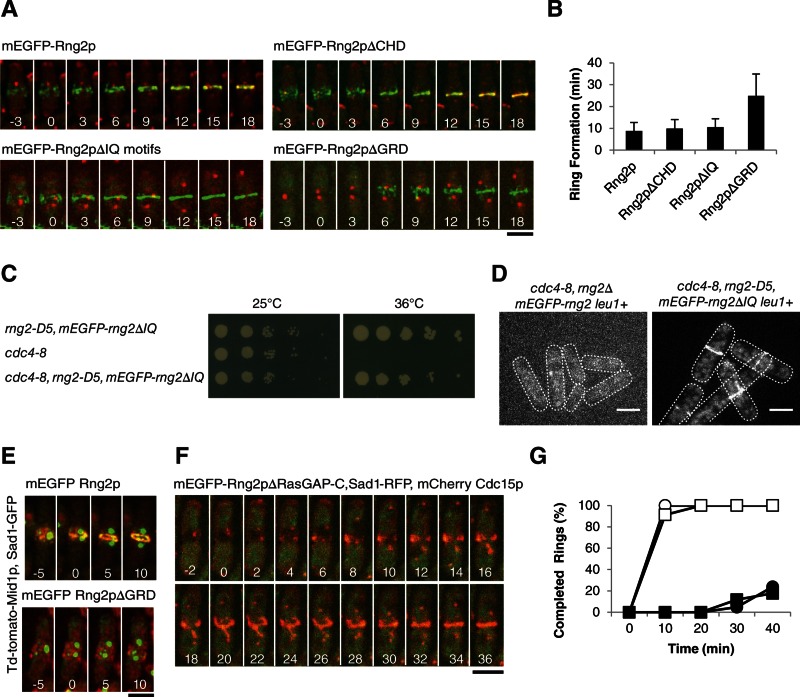 FIGURE 4: