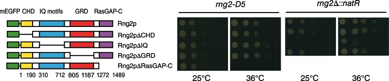 FIGURE 3: