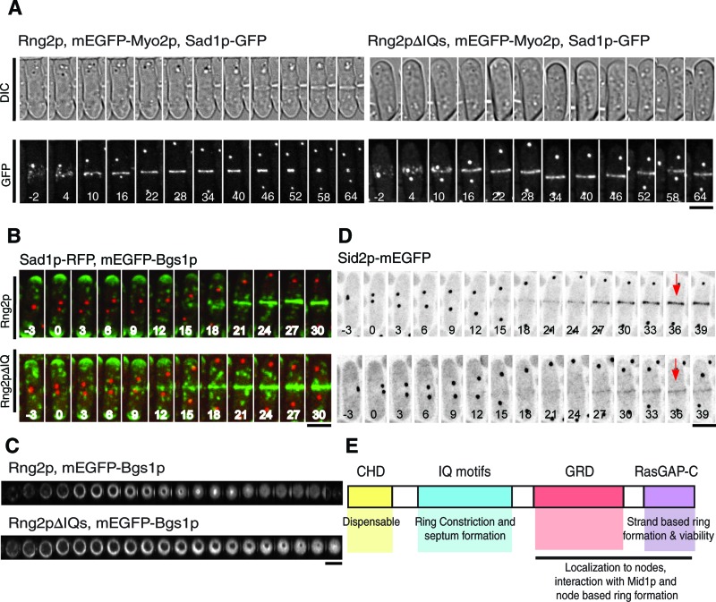 FIGURE 6: