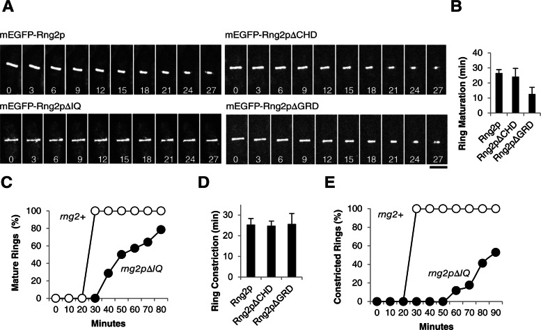 FIGURE 5: