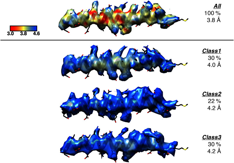 Figure 1—figure supplement 2.