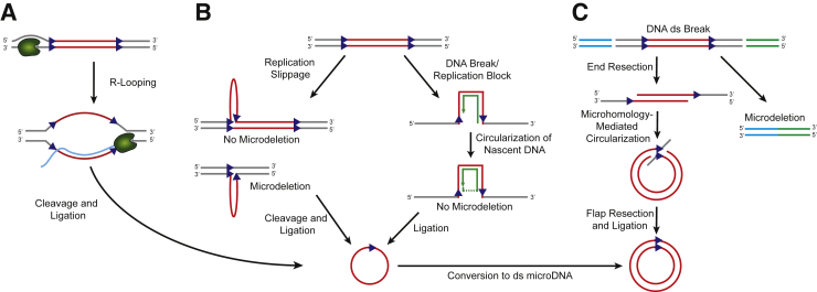 Figure 2