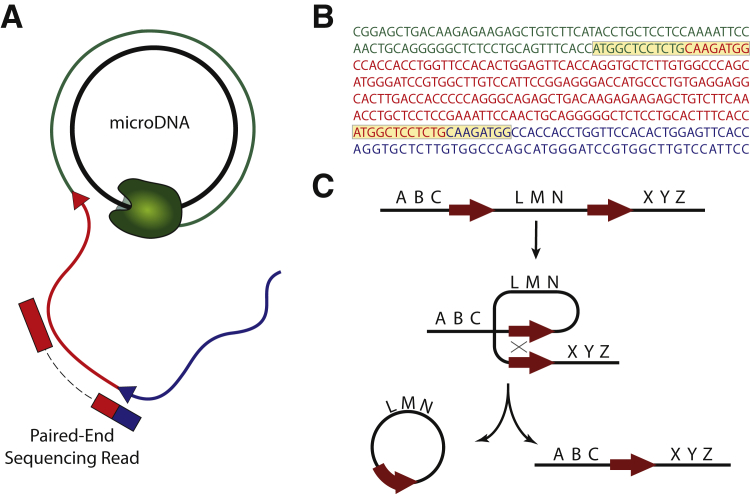 Figure 1