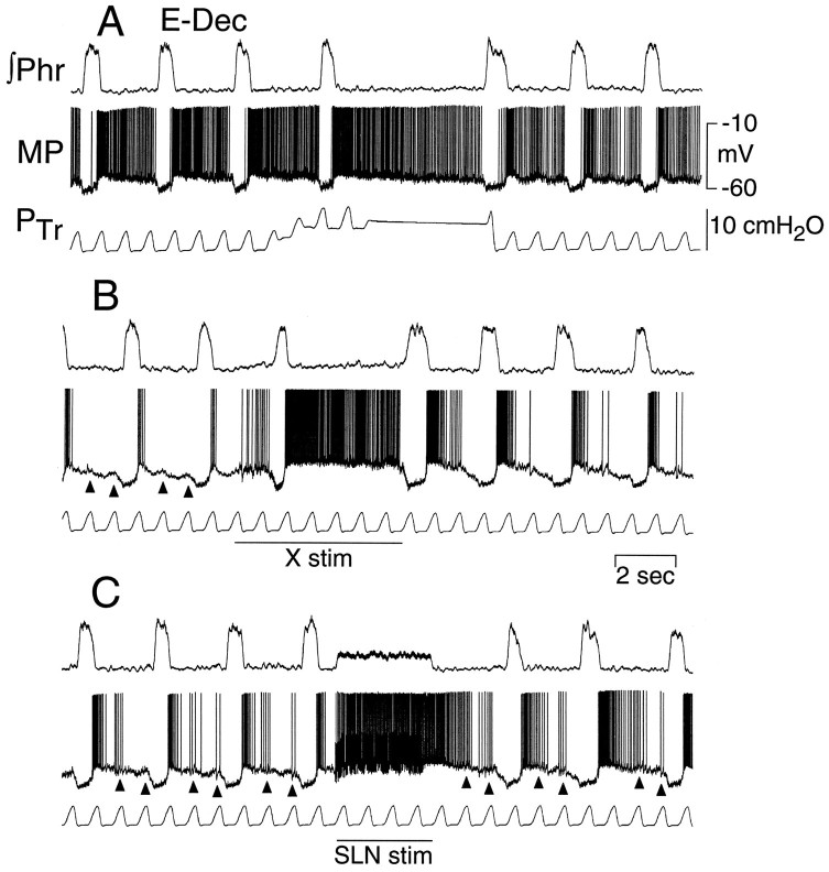 Fig. 10.