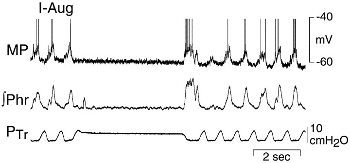 Fig. 9.