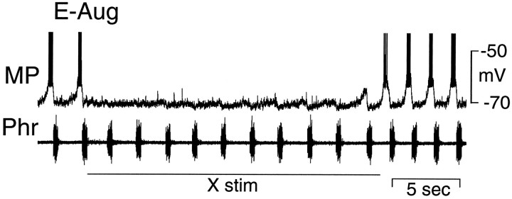 Fig. 8.