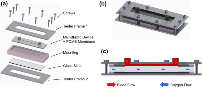 Figure 1