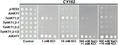 Figure 7.