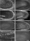Figure 10.