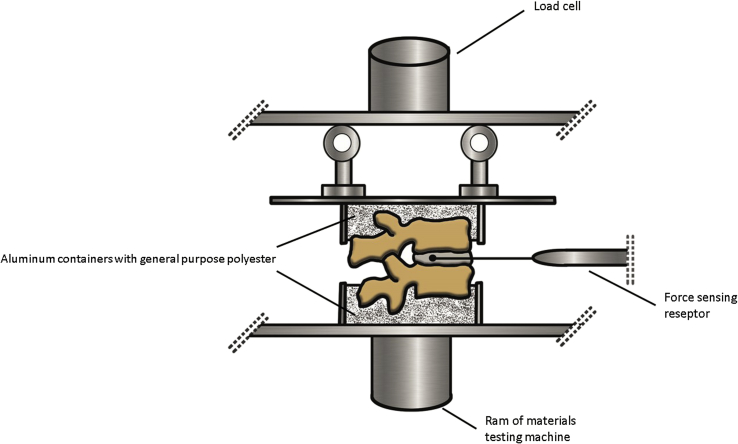 Fig. 1