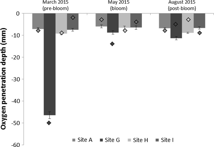 Fig. 7