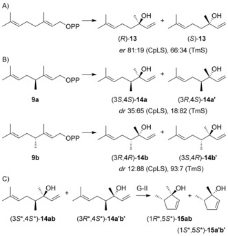 Scheme 3