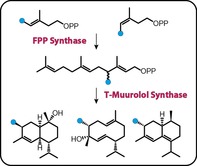 graphic file with name CHEM-26-2178-g005.jpg